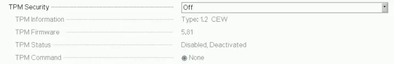 1747681390254.webp
