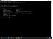 Screen.webp