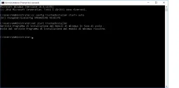 Screen2.webp