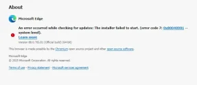 Within Edge 11 Update Error.webp