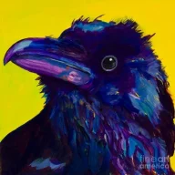 corvus
