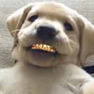 thehashmash